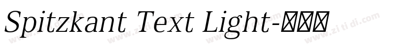 Spitzkant Text Light字体转换
